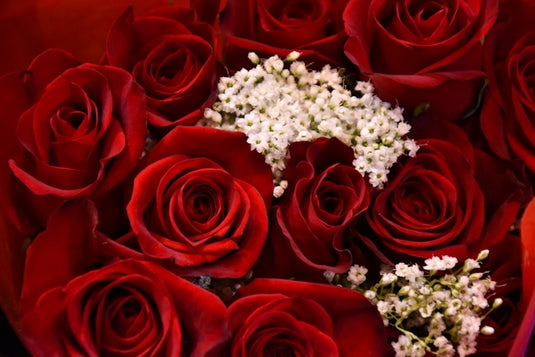 red roses with white flowers