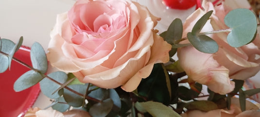 Beautiful pink roses with greenery and a red plate.