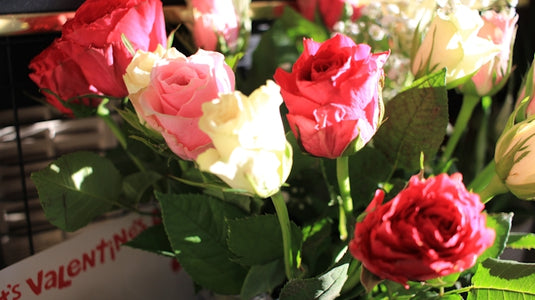A bouquet of pink and red roses with greenery.
