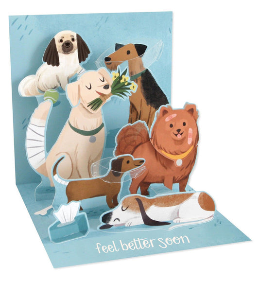 Get Well Dogs Pop-Up Greeting Card